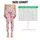 Red And Charcoal Sketch Hearts For Yoga, Pilates, And Everyday Activewear Looks Leggings - 1