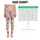 French Bulldog Faces For Pilates, Errands And Everyday Dog Lover Style Leggings - 1