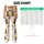 Cute Brown Bears in Sunny Yellow Scarves for Yoga, Pilates and Everyday Adventures Leggings - 7