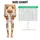 Cute Brown Bears in Sunny Yellow Scarves for Yoga, Pilates and Everyday Adventures Leggings - 1