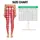 Red And White Gingham Checks For Yoga Pilates And Everyday Casual Style Leggings - 1