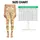 Golden Chick Costume Kittens for Cozy Yoga, Pilates, and Everyday Outings Leggings - 1