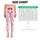 Romantic Pink Hearts for Yoga, Pilates, and Chic Everyday Studio-to-Street Style Leggings - 1