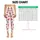 Watermelon Wedges for Summer Yoga, Pilates, Jogging and Everyday Activewear Leggings - 1