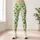 Green Polka Dots for Yoga, Pilates and Everyday Active Style for Women Leggings - 4