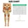 Watercolor Persimmon Fruit for Pilates, Yoga and Everyday Wellness for Women Leggings - 3
