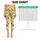 Playful Kittens in Fruit Cups for Cheerful Yoga and Everyday Wellness for Active Women Leggings - 1