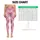 Blush Pink Tartan Checks for Yoga Pilates and Everyday Casual Style Leggings - 1