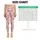 Blush Flamingo Stripes for Pilates, Travel, and Everyday Resort Style Leggings - 1