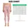 Cute Teddy Bears and Hearts for Cozy Casual Days and Playful Everyday Style for Her Leggings - 3