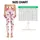 Scarlet Bow And Polka Dot Style For Playful Studio To Street Wear Leggings - 1
