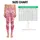 Pink Ombré Wildflower Blooms for Yoga, Running and Everyday Fitness Leggings - 1