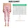 Soft Blush Heart Motif for Studio Days and Sweet Everyday Activewear Style for Her Leggings - 3