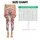 Elegant Pink Flamingos with Blush Stripes for Yoga, Running, and Everyday Activewear Leggings - 1