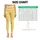 Sunny Yellow and Ivory Horizontal Stripes for Yoga, Pilates and Everyday City Style Leggings - 3