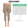 Blush Rose and Sage Botanical Florals for Yoga, Pilates and Everyday Activewear Leggings - 1