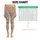 Blush Rose and Sage Botanical Florals for Yoga, Pilates and Everyday Activewear Leggings - 3