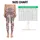 Soft Moon Star And Cloud Motifs For Yoga Pilates And Everyday Casual Style Lovers Leggings - 1