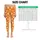 Orange And White Paw Prints For Yoga, Pilates, And Everyday Outings For Pet Lovers Leggings - 1