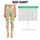 Tiny Wildflower Vines And Daisies For Yoga, Pilates And Everyday Outings Leggings - 1