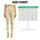 Cream Yellow Stars and Daisies for Yoga, Pilates, and Everyday Active Lifestyle Leggings - 1