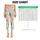 Cream Teal And Rose Ditsy Florals For Yoga, Pilates And Everyday Casual Wear For Women Leggings - 3