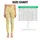 Soft Ivory Daisy Blossoms for Yoga, Pilates, and Everyday Wellness and Errands for Women Leggings - 1