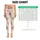 Tiny Teddy Bear And Woodland Cub Motifs For Cozy Yoga And Everyday Wear Leggings - 1
