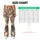 Cute Cat Faces in Warm Neutrals for Yoga, Pilates and Everyday Casual Weekend Style Leggings - 7
