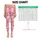 Pink Daisy And Tiny Blossom Motifs For Yoga, Pilates, And Everyday Errands For Women Leggings - 3