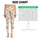 Crowned Teddy Bears and Strawberries for Sweet Everyday Style and Cozy Outings Leggings - 1