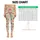 Cute Woodland Animals And Wildflowers For Yoga, Pilates And Everyday Adventures Outdoors Leggings - 1