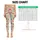 Cute Woodland Animals And Wildflowers For Yoga, Pilates And Everyday Adventures Outdoors Leggings - 3