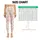 Golden Stars and Blush Bunnies for Yoga, Pilates, Commuting and Everyday Activewear Leggings - 3