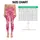 Pink Star Motif Style for Yoga, Pilates, Studio Sessions and Everyday Errands for Women Leggings - 3