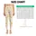 Golden Stars and Crescent Moons for Yoga, Pilates, and Everyday Outings Leggings - 3