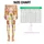 Colorful Bear And Chick Motifs For Cheerful Yoga, Pilates And Everyday Errands Leggings - 1
