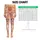 Whimsical Cats And Paw Prints For Yoga, Pilates, Errands And Relaxed Everyday Wear Leggings - 1