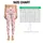Pink Bow And Heart Motifs For Sweet Studio Sessions And Everyday Wellness Leggings - 3