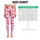 Pink Heart Motifs for Yoga, Pilates and Everyday Wear for Women Leggings - 1