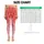 Coral Hand-Drawn Hearts for Yoga, Running, and Everyday Fitness for Women Leggings - 1