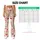 Pastel Teddy Bears And Cherry Cakes For Sweet Everyday Style Leggings - 7