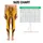 Yellow Brown Vertical Stripes for Yoga Pilates Commuting and Everyday Style Leggings - 3