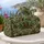 Sage Pine Holly and Candy Cane Christmas Motifs for Cozy Winter Holiday Travel Quilted Weekend Bag - 5