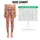 Gingerbread Cookies, Candy Canes And Snowflakes For Cozy Christmas Celebrations Leggings - 3