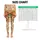 Watercolor Pumpkin Florals for Halloween Harvest Celebrations and Cozy Autumn Days Leggings - 1