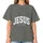 Jesus Is King Shirt, Christian Faith Gift for Church and Everyday Wear, Distressed Varsity Style, Tee, Hoodie, Sweatshirt - 4