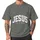 Jesus Is King Shirt, Christian Faith Gift for Church and Everyday Wear, Distressed Varsity Style, Tee, Hoodie, Sweatshirt - 5
