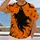 Orange Ghost And Bat Halloween Scene For Spooky October Celebrations All-over Print Unisex T-shirt - 2