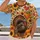 Turkey, Sunflowers & Pumpkins for Thanksgiving Gatherings and Cozy Autumn Days Ahead All-over Print Unisex T-shirt - 2
